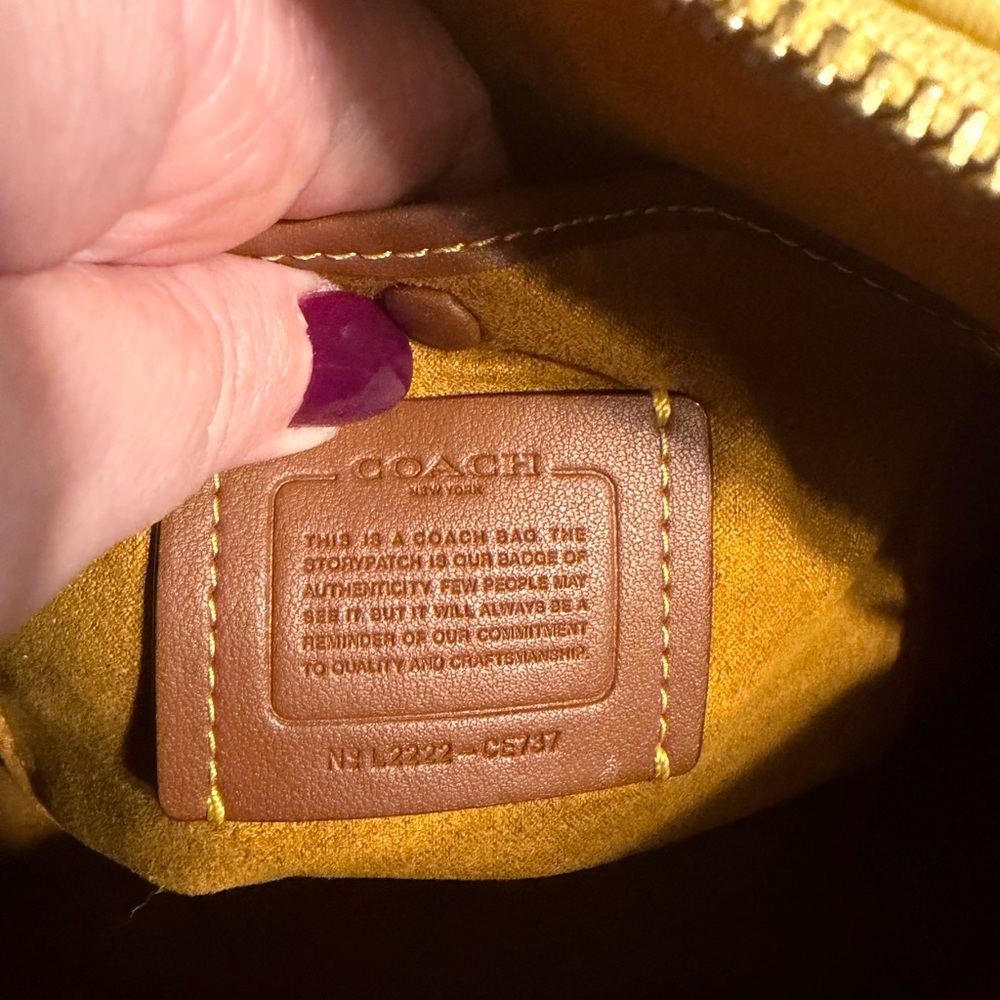 Coach Reveal 24 - Picture 7 of 7